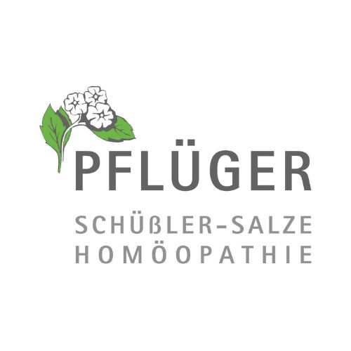 DETOX Fachsymposium 2024 Logo Pflüger